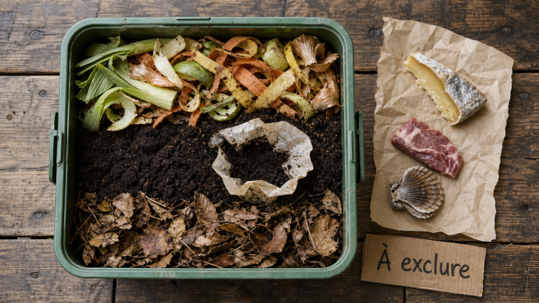 Ce qu'il ne faut pas mettre dans le compost : viande, poisson, produits laitiers, agrumes, bois traité